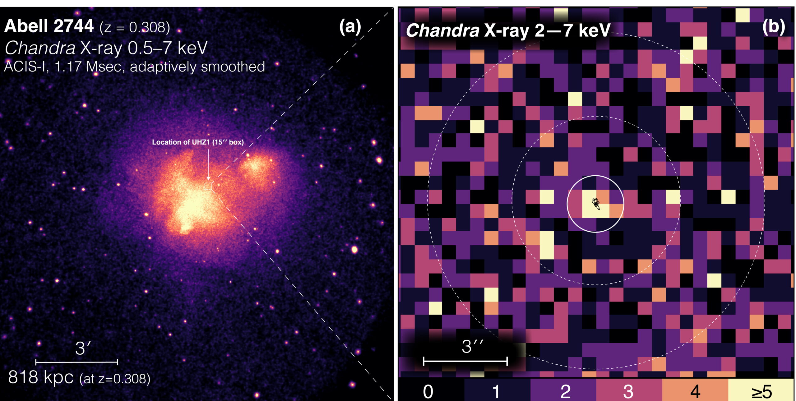 découvrez les tendances et les prévisions de la croissance pour 2024 avec notre analyse approfondie sur le marché x-ray. restez informé des évolutions majeures et des opportunités à saisir pour optimiser votre stratégie.